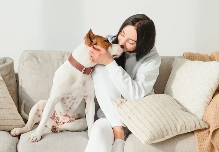 Quanto costa seppellire un cane?