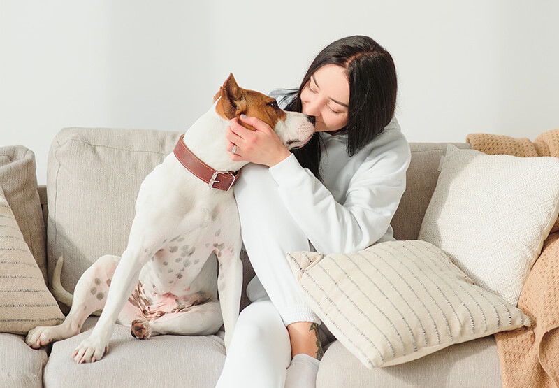 Quanto costa seppellire un cane?