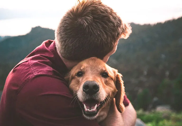 Chi chiamare quando muore il cane?