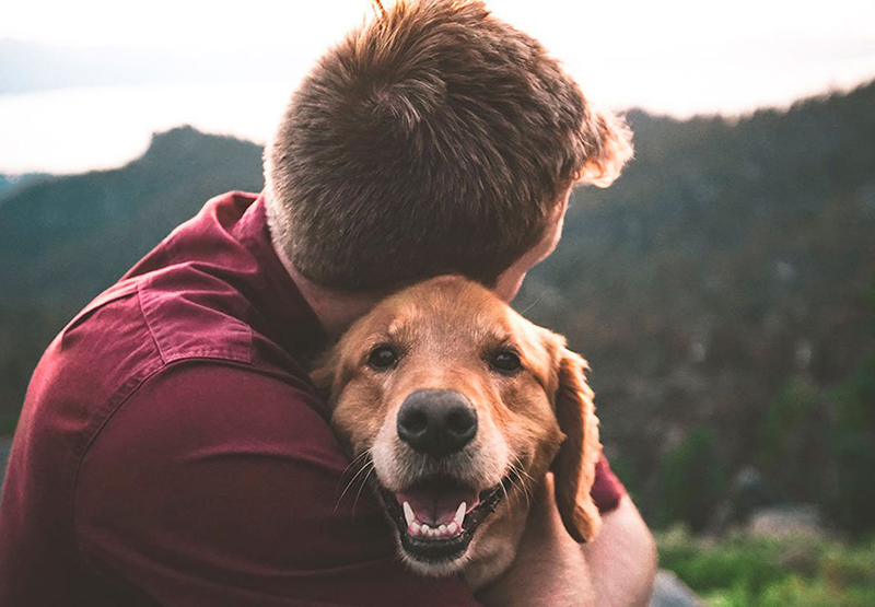 Chi chiamare quando muore il cane?