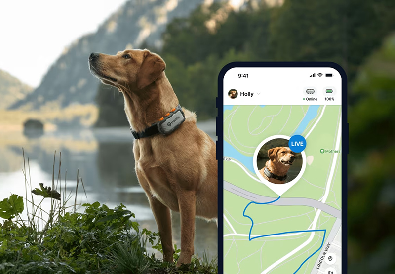 Abbiamo provato il primo GPS localizzatore per cani Tractive