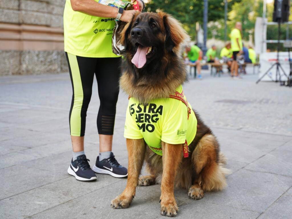 Strabergamo 2024: Un Evento Imperdibile per Bergamo!