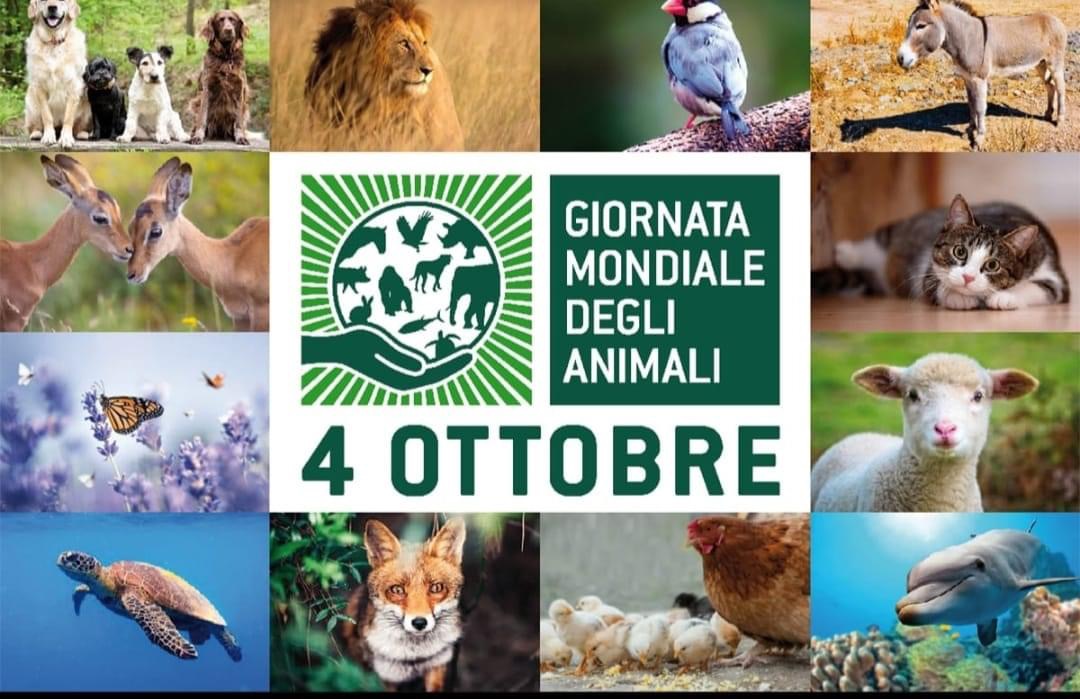 Giornata Mondiale degli Animali