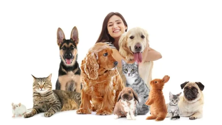 Tutela degli Animali: La Camera Approva la Legge che Cambia il Codice Penale