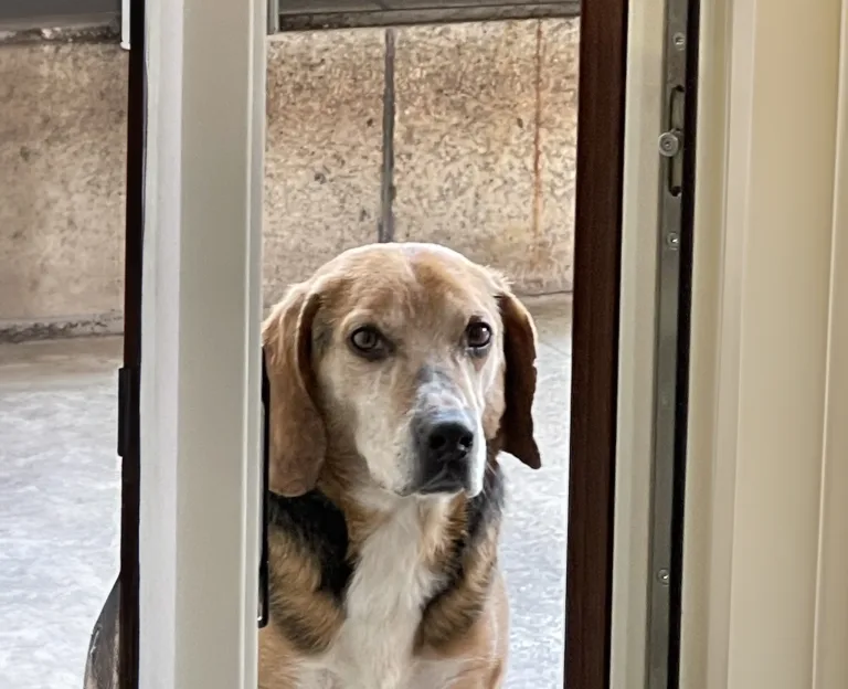 Ultimo saluto a Cooper
