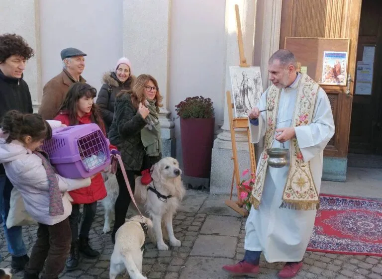 Benedizione degli Animali, Sant’ Antonio Abate oggi a Roma in Piazza San Pietro