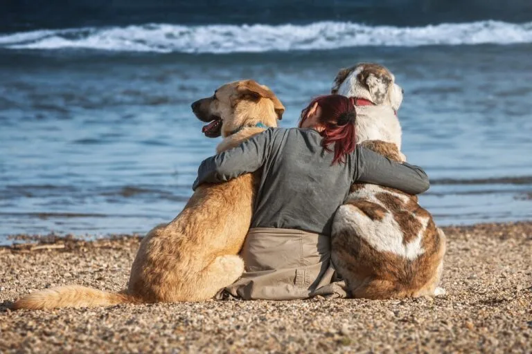 Lutto animale domestico: un dolore pari a quello per una persona cara