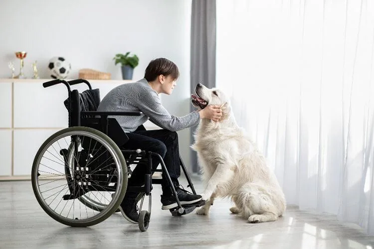 A Bologna all’ Ospedale Rizzoli arriva la Pet Therapy