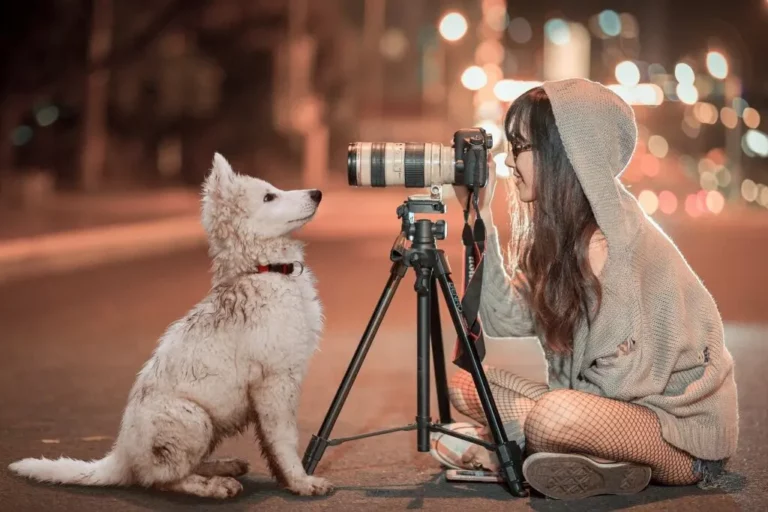 Concorso Fotografico ENPA Novara: scatta per aiutare gli animali in difficoltà