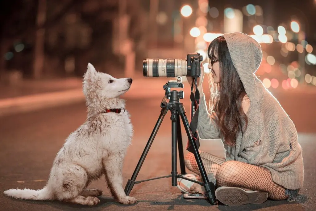Concorso Fotografico ENPA Novara: scatta per aiutare gli animali in difficoltà