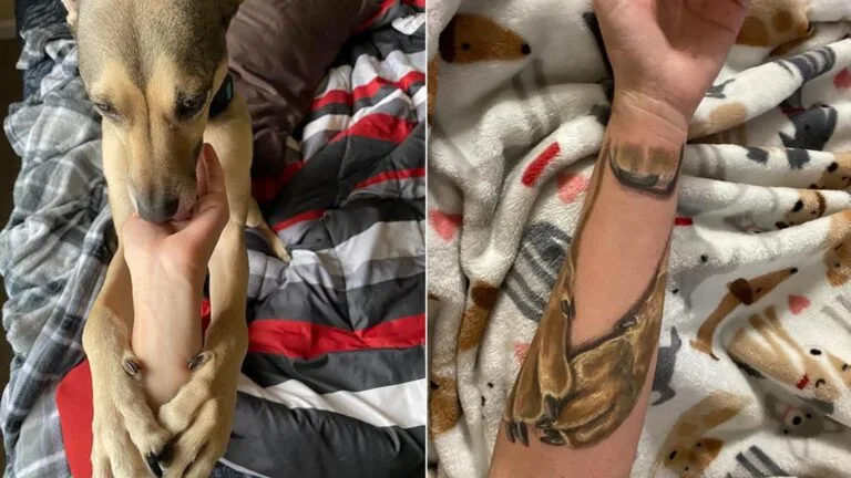 Gli italiani e i loro animali domestici: tra amore, tatuaggi e outfit natalizi