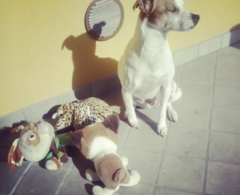 Ultimo saluto a Tewe