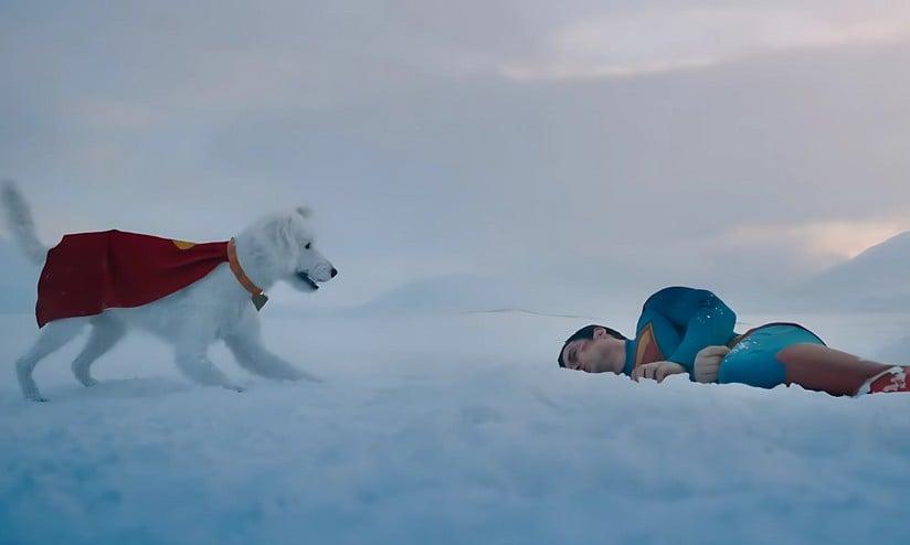 Krypto, il cane di Superman: il supereroe a quattro zampe che conquista grandi e piccini 1 1247916