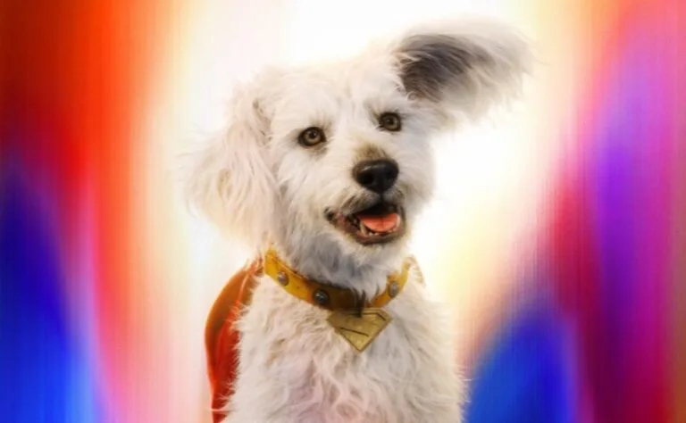 Krypto, il cane di Superman: il supereroe a quattro zampe che conquista grandi e piccini