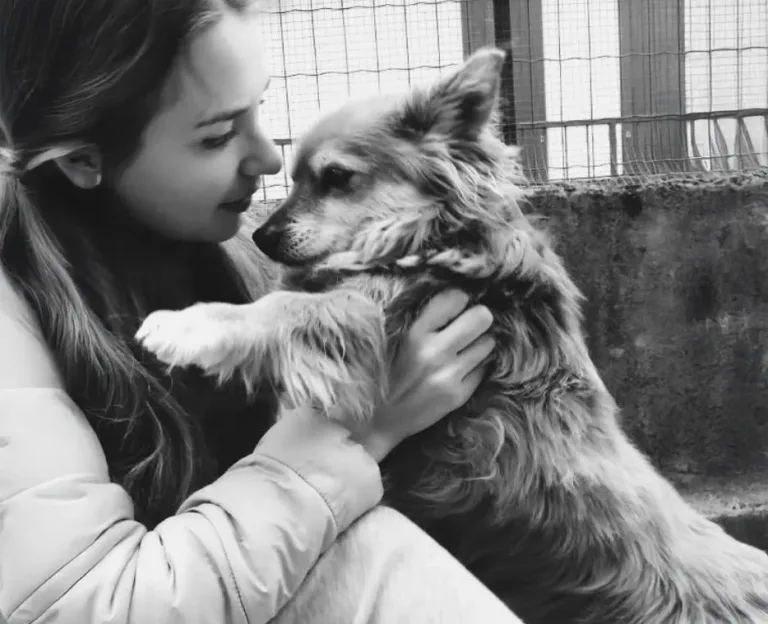 Ultimo saluto a Molly