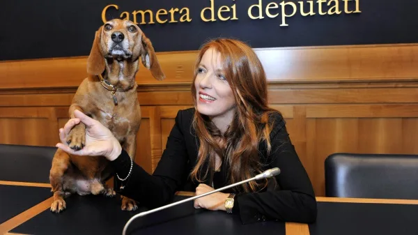 Italia 2025, svolta normativa: la Legge Brambilla per la tutela penale di cani e gatti