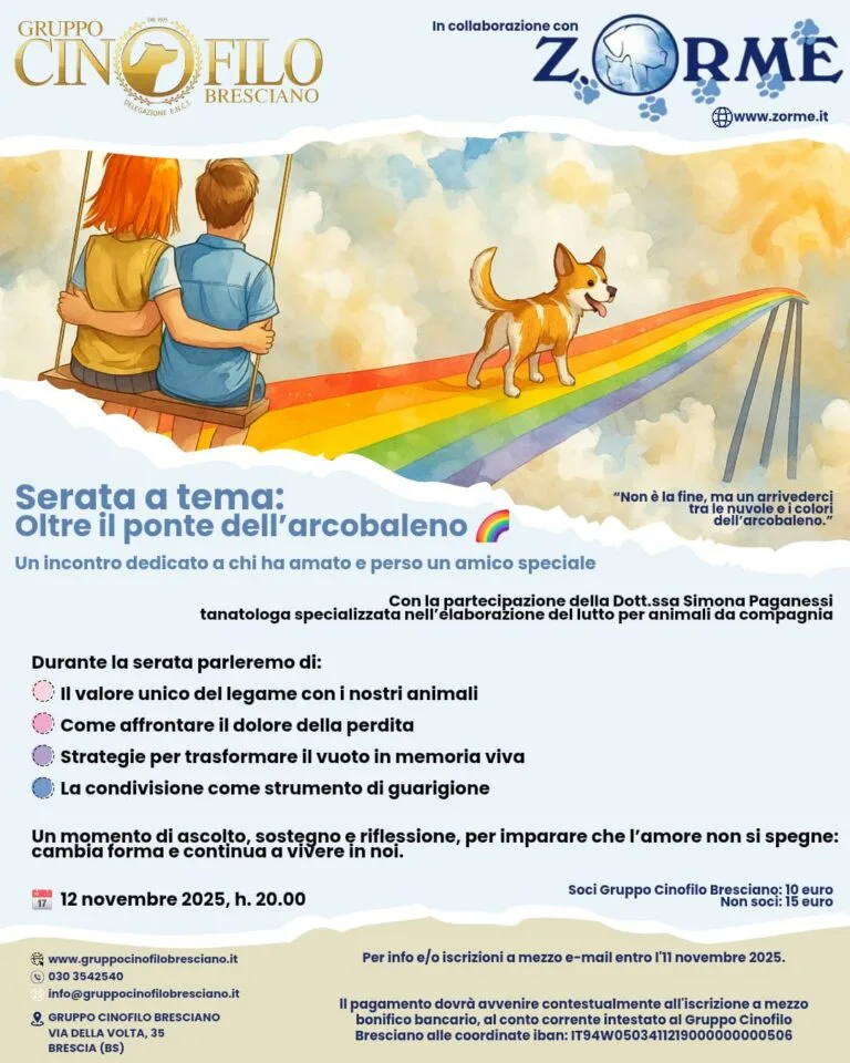 Oltre il ponte dell’arcobaleno 🌈  Serata dedicata a chi ha amato e perso un amico speciale