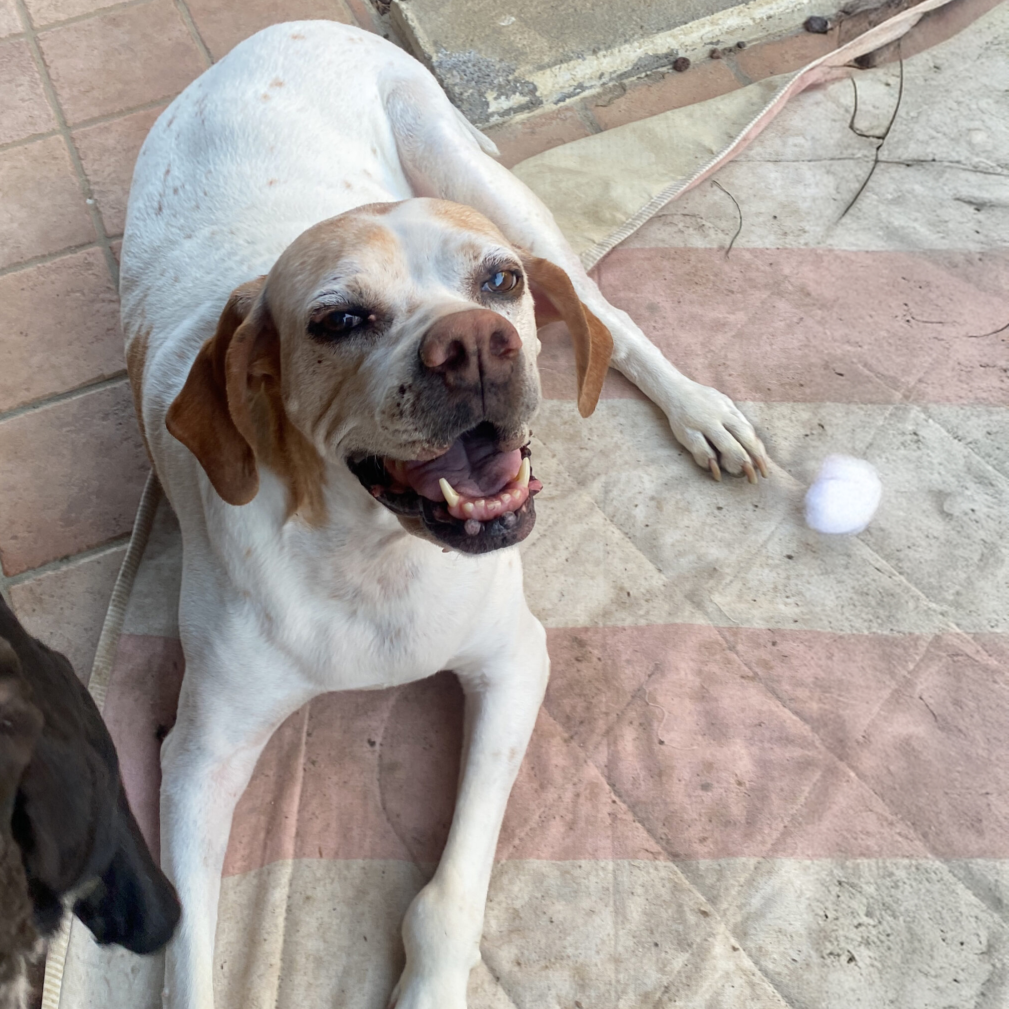 Ultimo saluto a Sally