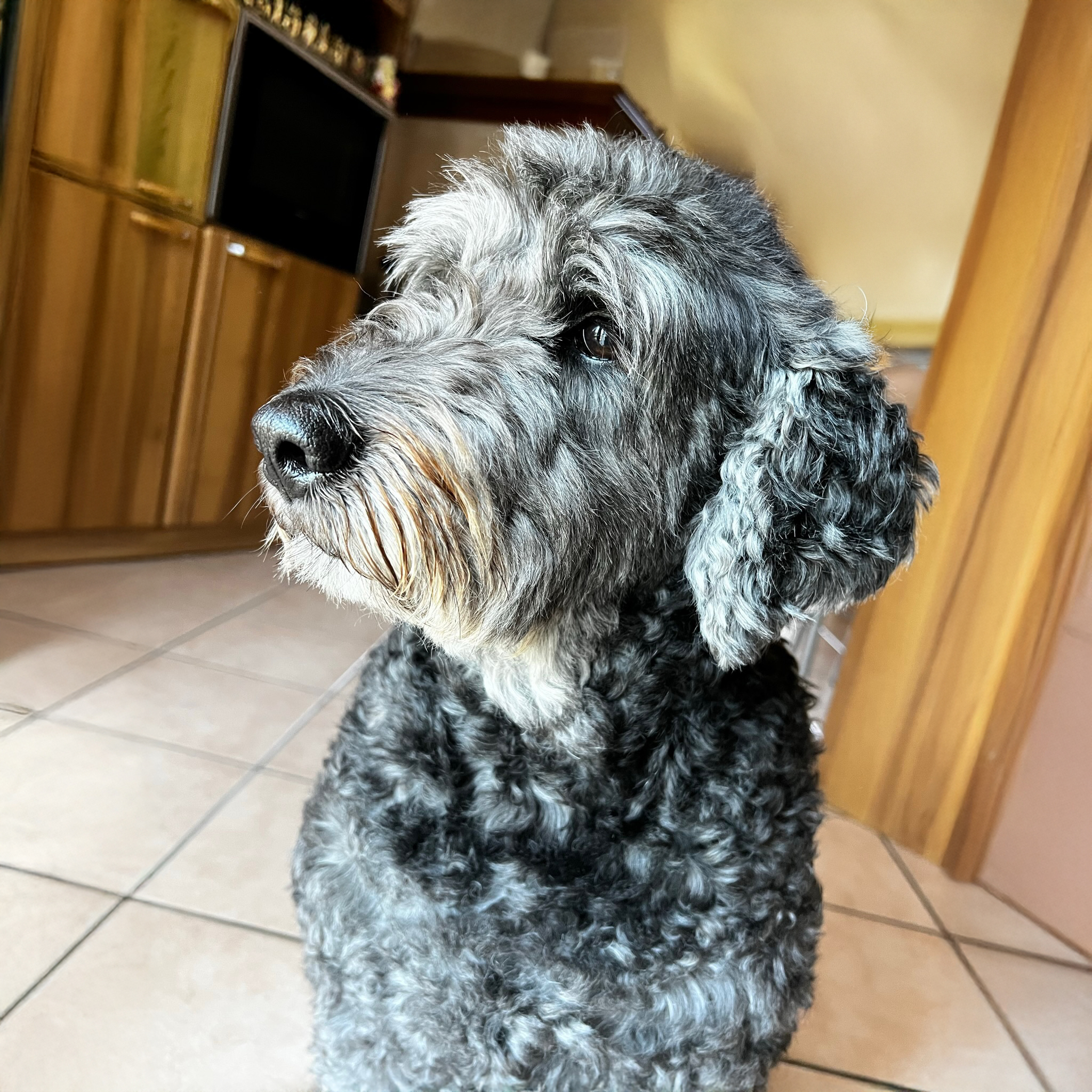 Ultimo saluto a Betty