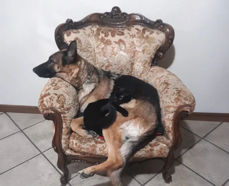 Ultimo saluto a Lady Sugar