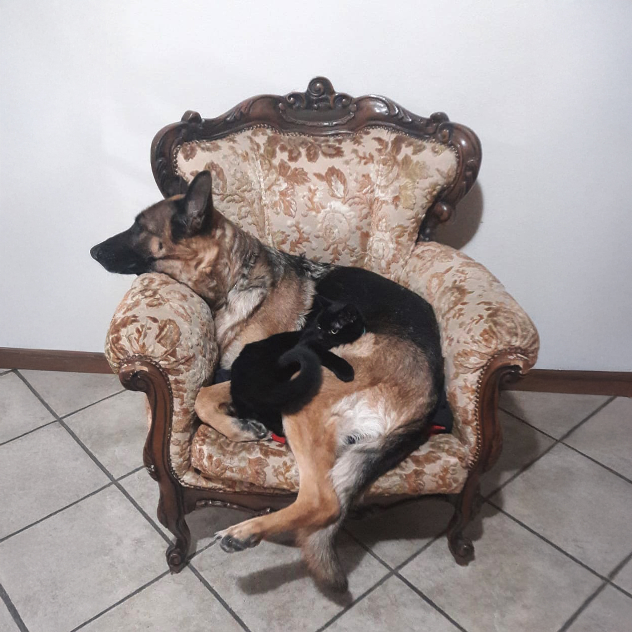 Ultimo saluto a Lady Sugar