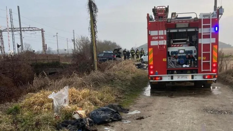 La macabra scoperta: 40 tra cani e gatti defunti abbandonati in un fosso