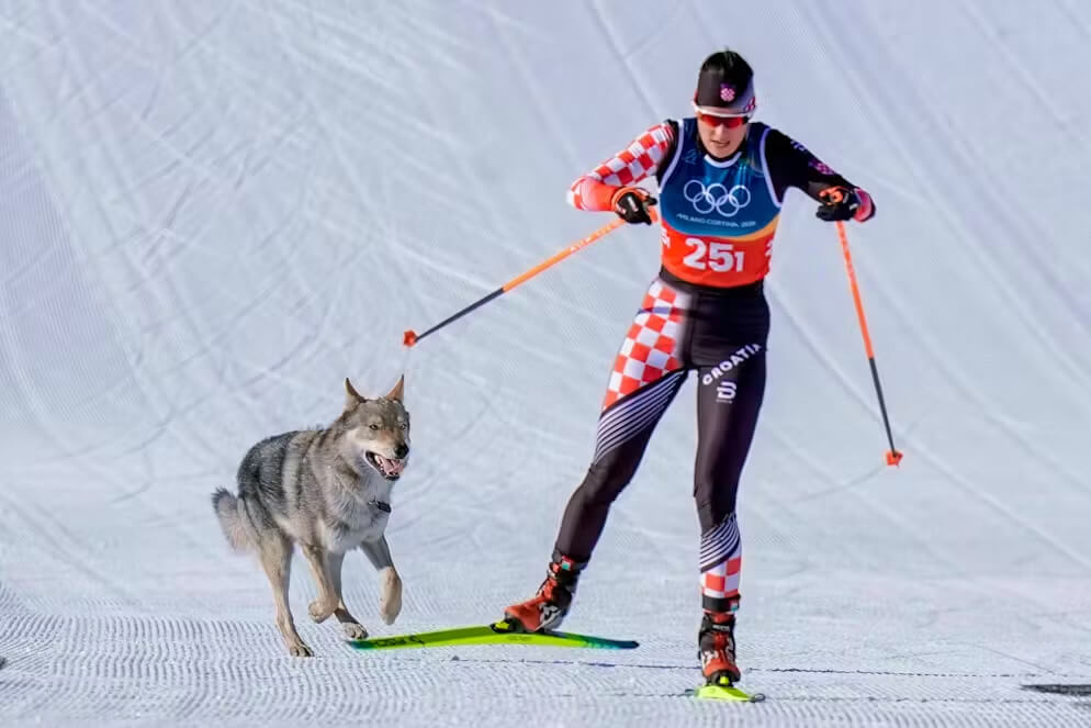 Il cane lupo cecoslovacco che ha invaso la pista alle Olimpiadi Milano Cortina 2026