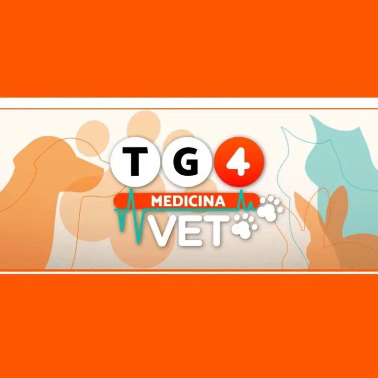 TG4 Vet: quando la salute degli animali entra nel mondo dell’informazione
