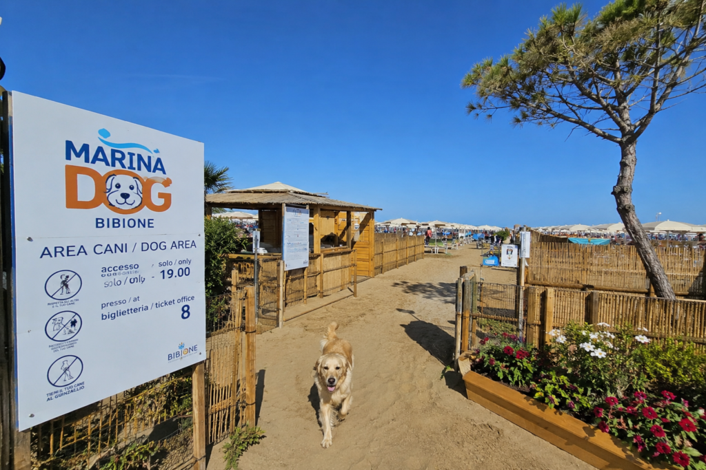 Marina Dog Bibione: la nuova spiaggia per cani che rende ancora più pet friendly la località veneta 1 Marina Dog Bibione la nuova spiaggia per cani che rende ancora piu pet friendly la localita veneta