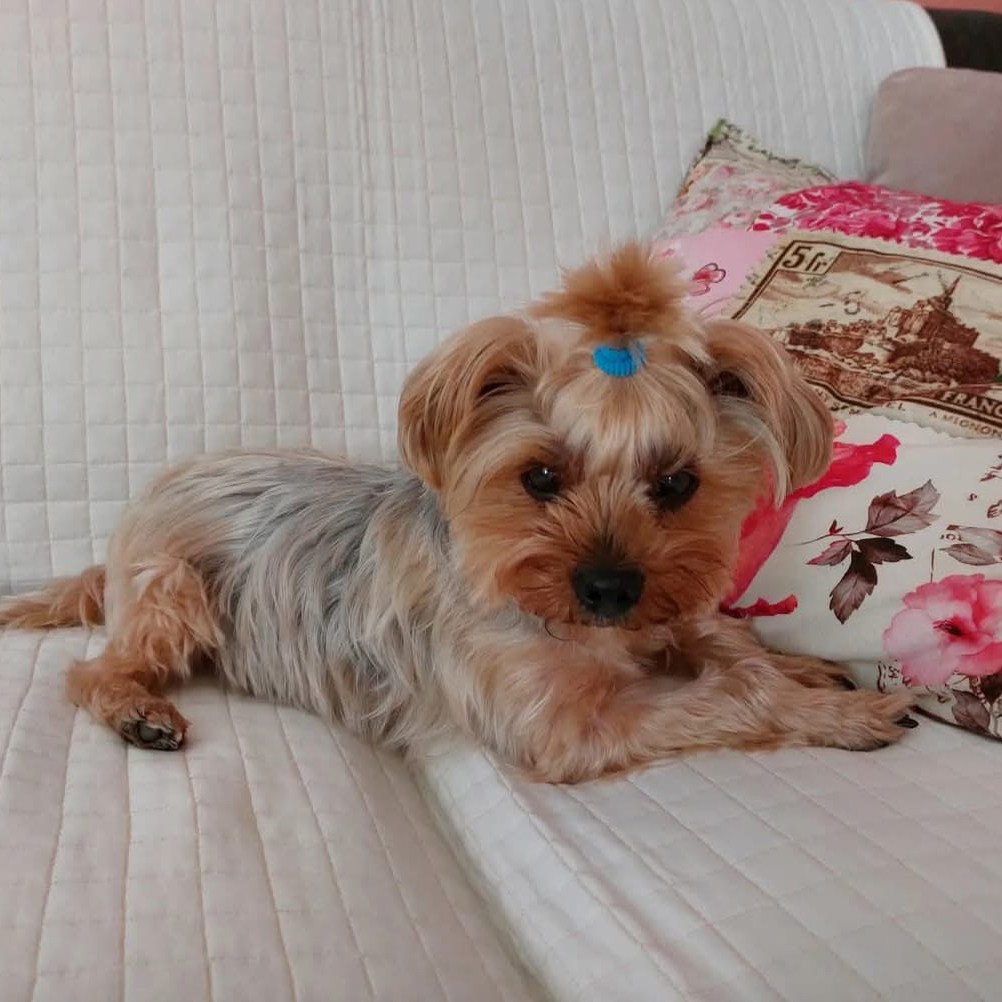 Ultimo saluto a Sissy