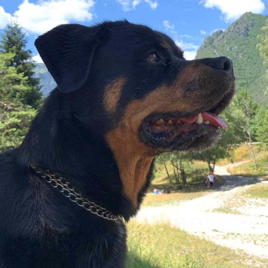 Ultimo saluto a Fiona