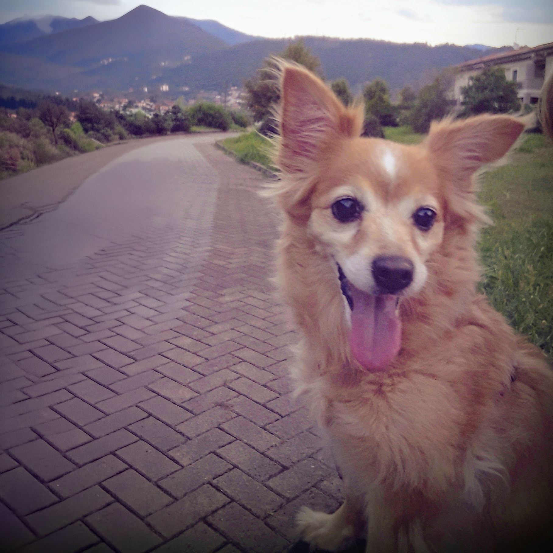 Ultimo saluto a Kika