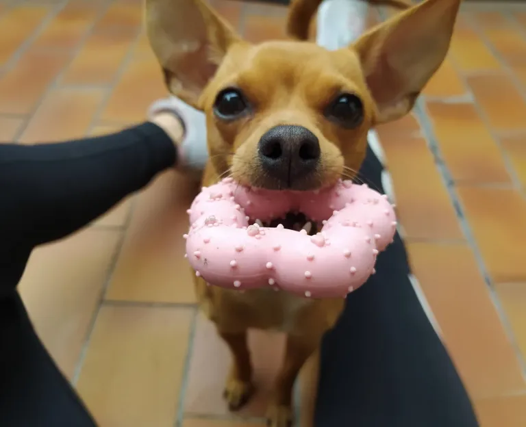 Ultimo saluto a Candy